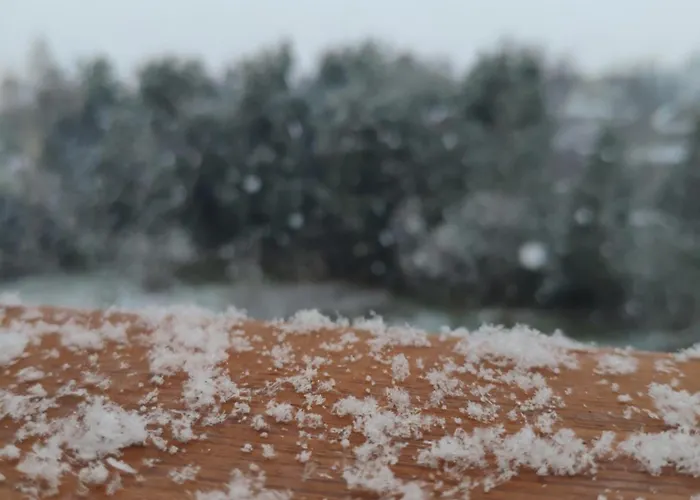 Pensionat Cosy Mountain By The Pond *