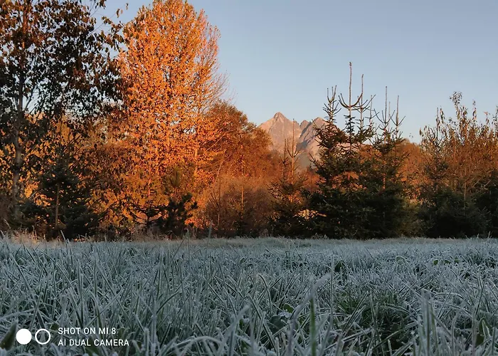 Cosy Mountain By The Pond Pensionat